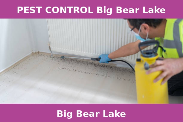 PEST CONTROL Big Bear Lake